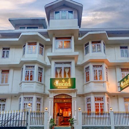 Muscatel Spring Burn - 100 Mts From Mall Road Дарджилинг Экстерьер фото